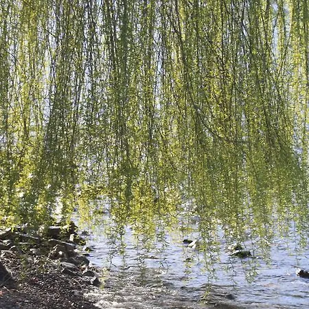 Wonderful Lake 公寓